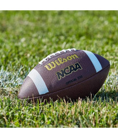 Wilson NCAA Kompozit